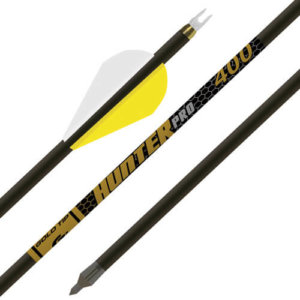 GOLD TIP ARROW HUNTER PRO 340 2 RAPTOR VANES 1/2DOZ GOLD TIP ARROW HUNTER PRO 340 2 RAPTOR VANES 1/2DOZ