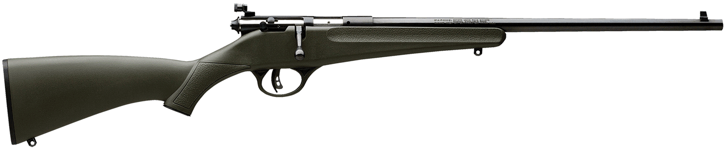 Savage Arms 13790 Rascal 22 LR Caliber with 1rd Capacity 16.12" Barrel Blued Metal Finish & Green Synthetic Stock Right Hand (Youth)