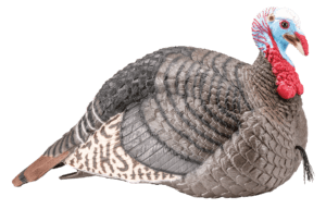 HS Strut 100003 Strut-Lite Jake Wild Turkey Species Multi Color Synthetic HS Strut 100003 Strut-Lite Jake Wild Turkey Species Multi Color Synthetic