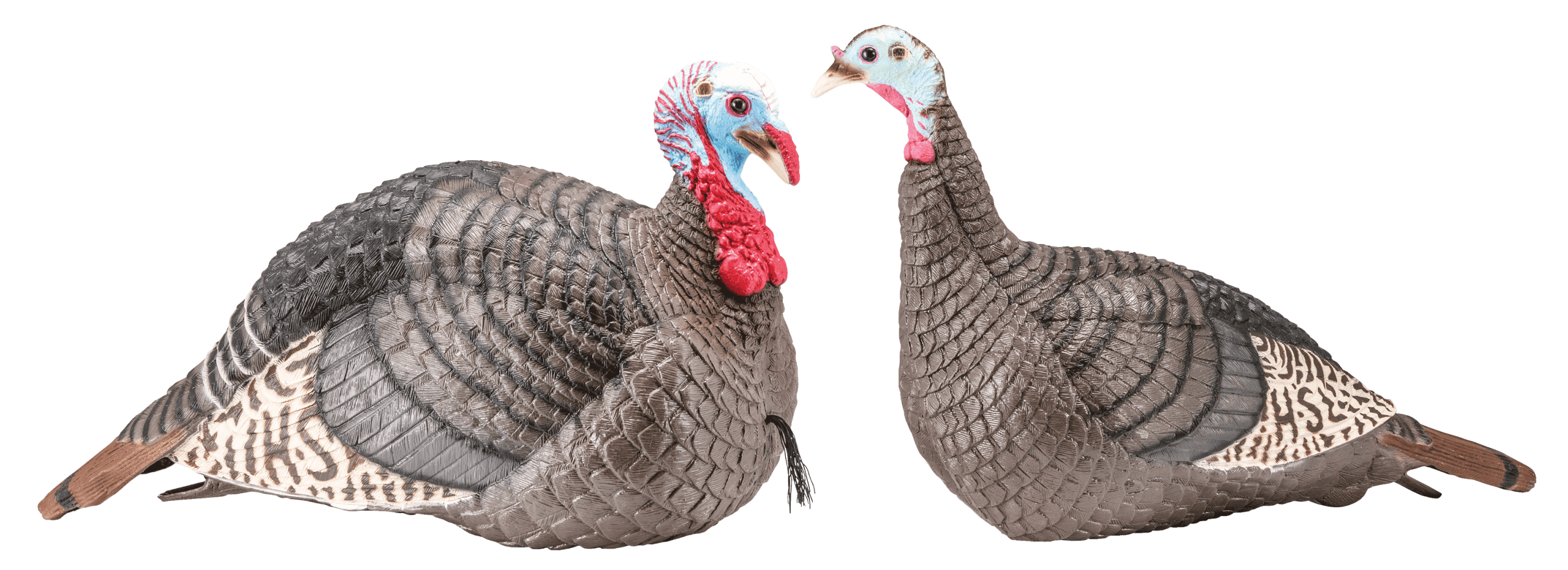 HS Strut 100005 Strut-Lite Jake & Hen Combo Wild Turkey Species Multi Color Synthetic