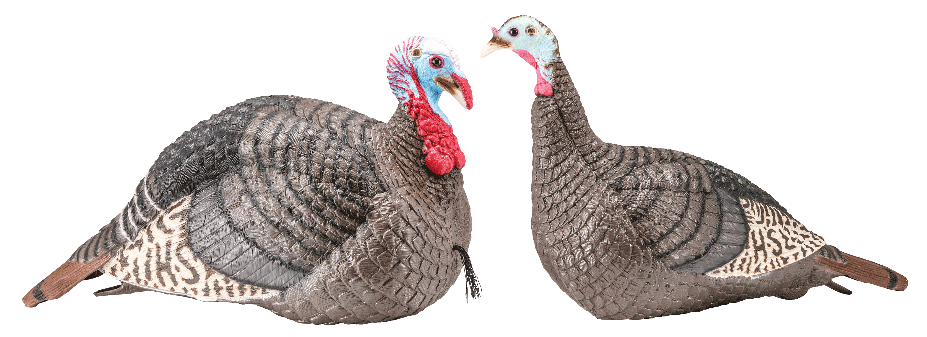 HS Strut 100005 Strut-Lite Jake & Hen Combo Wild Turkey Species Multi Color Synthetic HS Strut 100005 Strut-Lite Jake & Hen Combo Wild Turkey Species Multi Color Synthetic