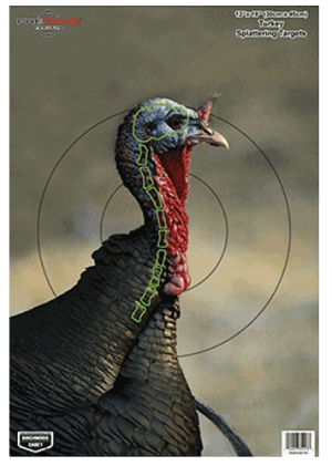 Birchwood Casey 35403 Pregame Turkey Paper Hanging Universal 12" x 18" Multi-Color 8 Per Pkg
