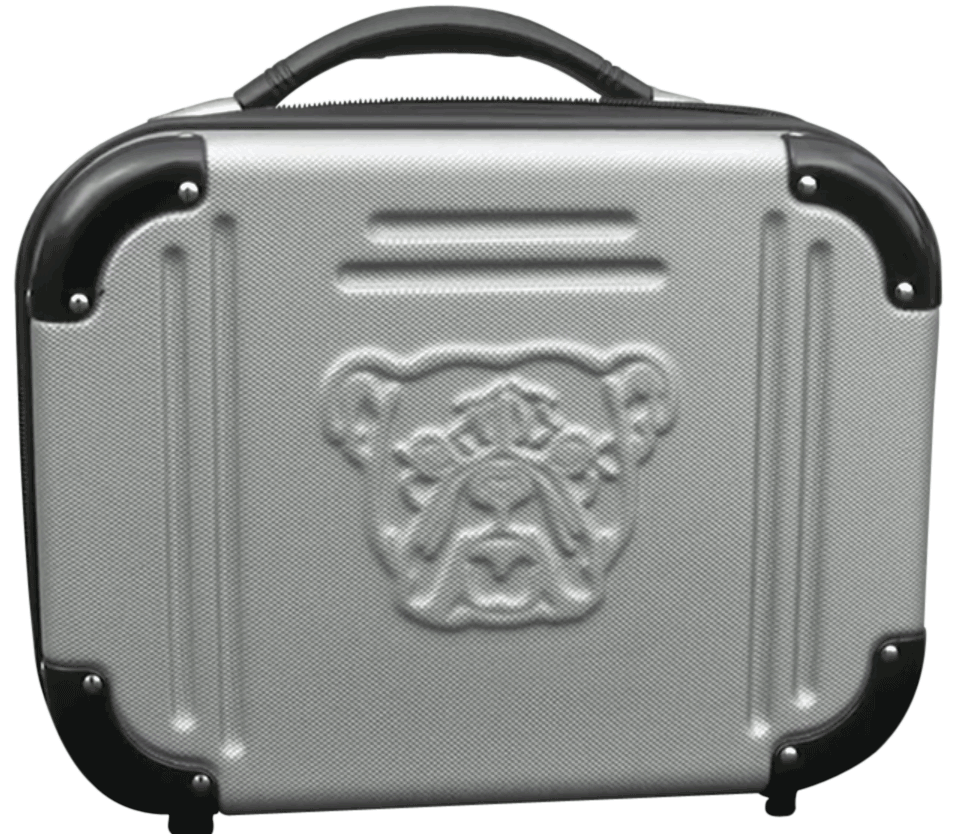 Bulldog BD580 Double Molded Pistol Case made of ABS Polymer with Gray Finish & Black Trim TSA Lock Egg Crate Foam & Heavy-Duty Zipper Holds up to 4 Handguns