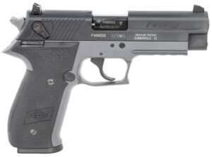 GSG GERG2210FFS FireFly 22 LR 10+1 4ā³ Black Serrated Slide Smoke Zinc Alloy w/Accessory Rail Frame Black Polymer Grip GSG GERG2210FFS FireFly 22 LR 10+1 4ā³ Black Serrated Slide Smoke Zinc Alloy w/Accessory Rail Frame Black Polymer Grip