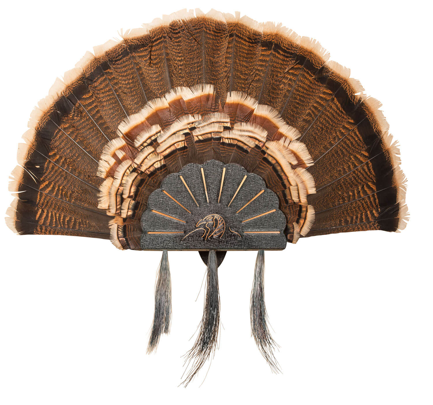Skull Hooker SKHTURKASSYBLK Turkey Mount Turkey Hooker Wall Display Black Steel Skull Hooker SKHTURKASSYBLK Turkey Mount Turkey Hooker Wall Display Black Steel