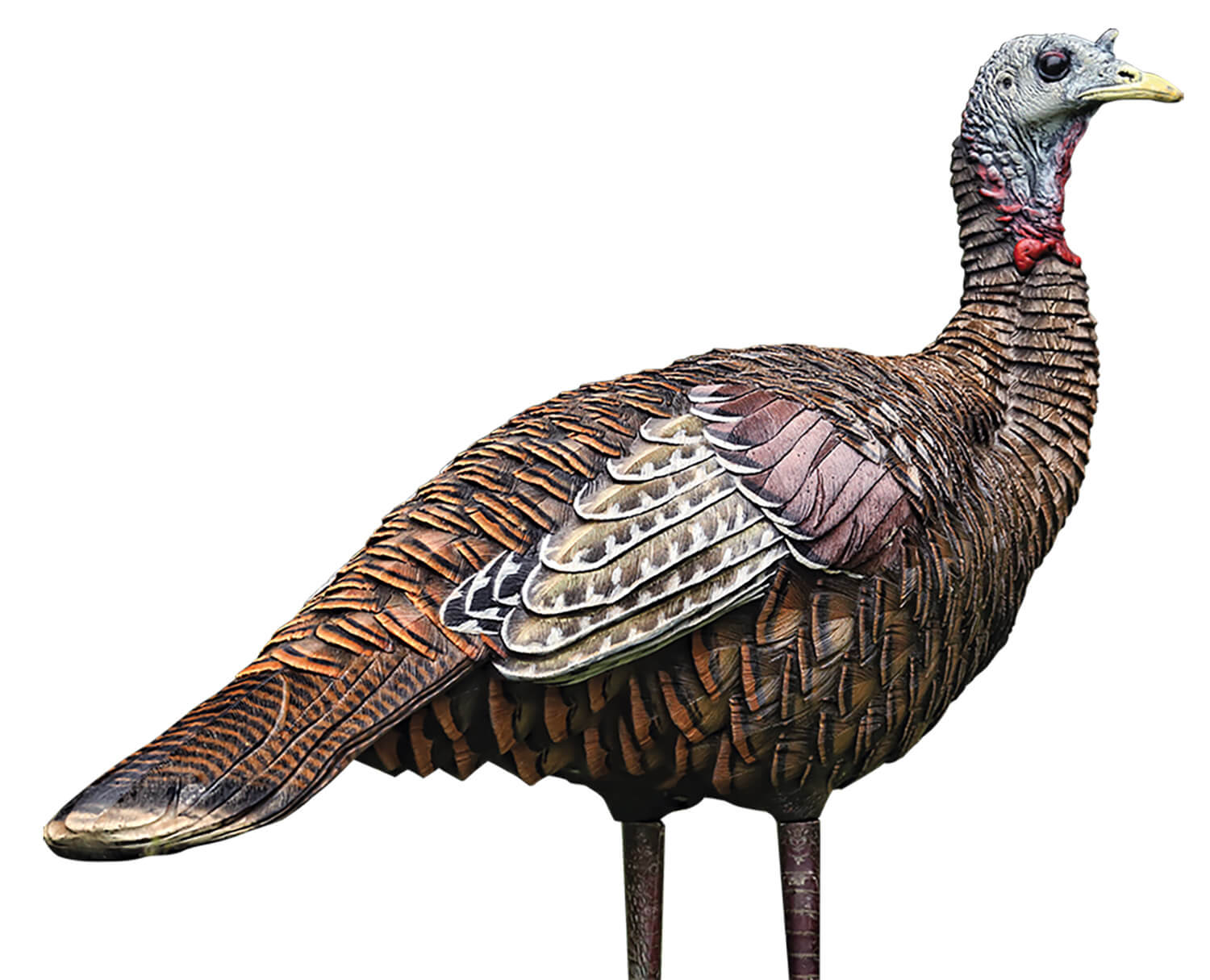 Avian X AVXAVX8006 LCD Lookout Hen Turkey Species Multi Color Dura-Rubber Avian X AVXAVX8006 LCD Lookout Hen Turkey Species Multi Color Dura-Rubber