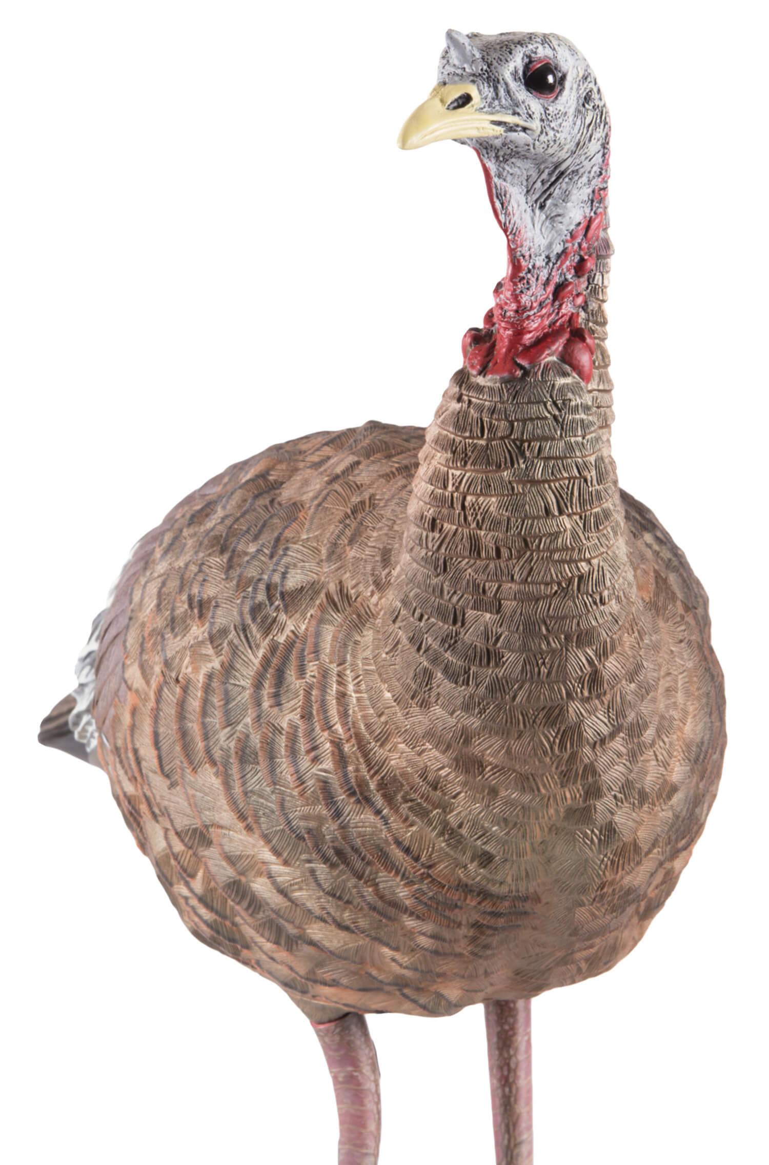 Avian X AVXAVX8006 LCD Lookout Hen Turkey Species Multi Color Dura-Rubber Avian X AVXAVX8006 LCD Lookout Hen Turkey Species Multi Color Dura-Rubber