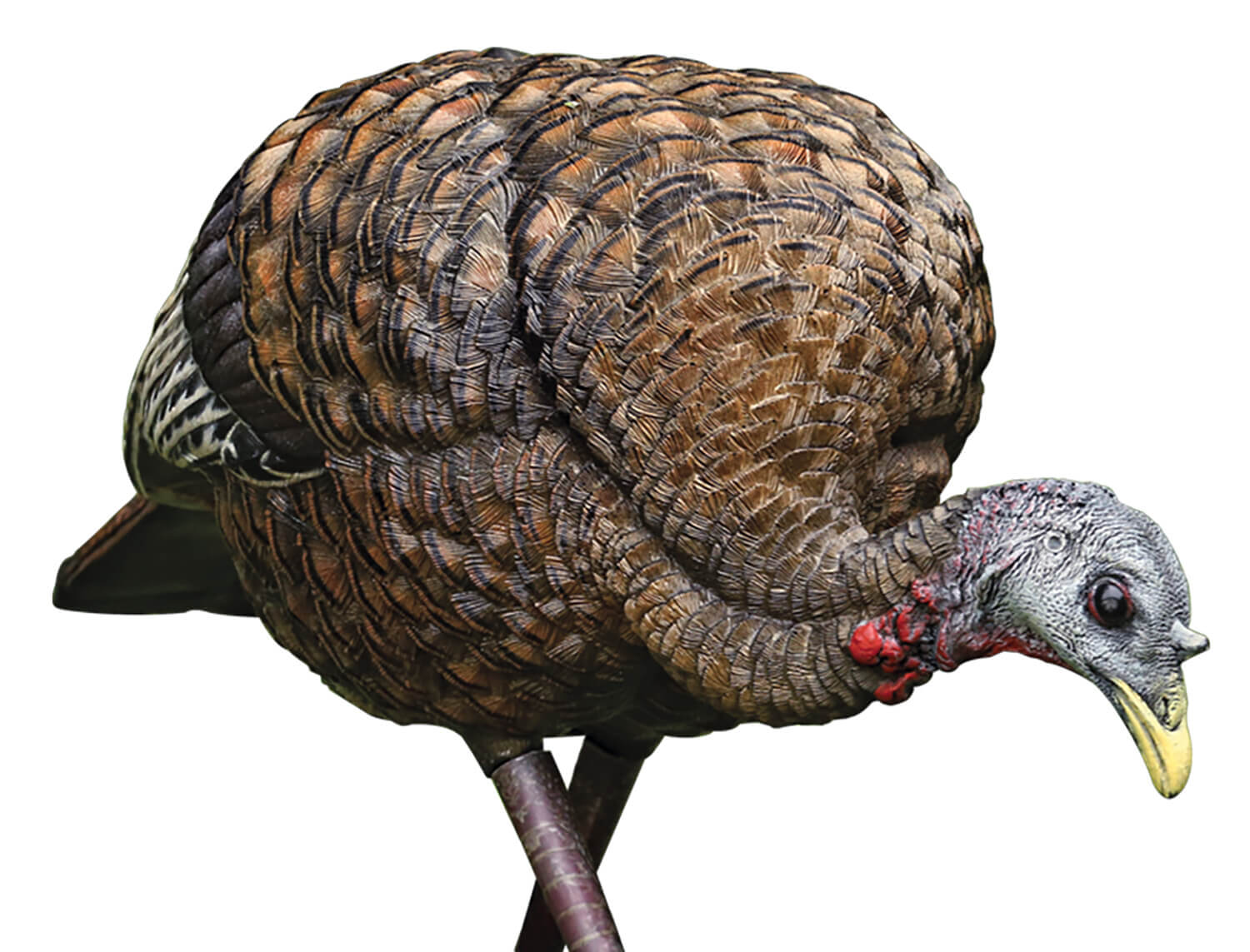 Avian X AVXAVX8007 LCD Feeder Hen Turkey Species Multi Color Dura-Rubber Avian X AVXAVX8007 LCD Feeder Hen Turkey Species Multi Color Dura-Rubber
