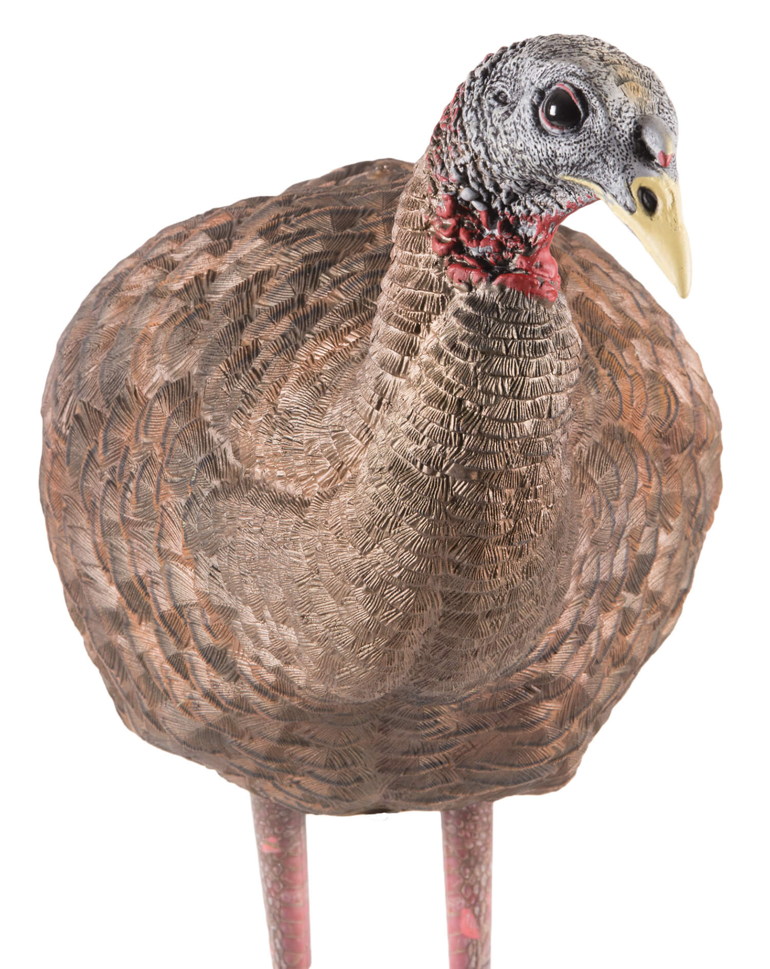 Avian X AVXAVX8008 LCD Breeder Hen Turkey Species Multi Color Dura-Rubber Avian X AVXAVX8008 LCD Breeder Hen Turkey Species Multi Color Dura-Rubber