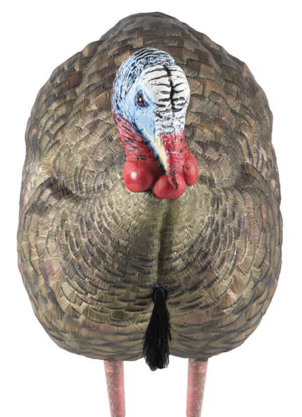Avian X AVXAVX8012 LCD Half-Strut Jake Turkey Species Multi Color Dura-Rubber Avian X AVXAVX8012 LCD Half-Strut Jake Turkey Species Multi Color Dura-Rubber