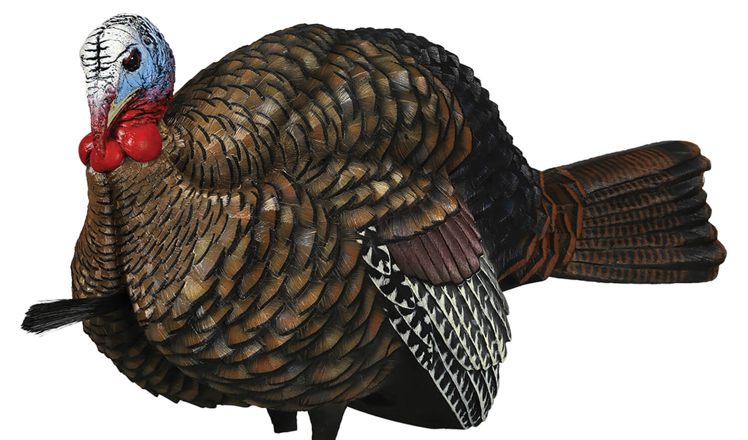Avian X AVXAVX8012 LCD Half-Strut Jake Turkey Species Multi Color Dura-Rubber Avian X AVXAVX8012 LCD Half-Strut Jake Turkey Species Multi Color Dura-Rubber