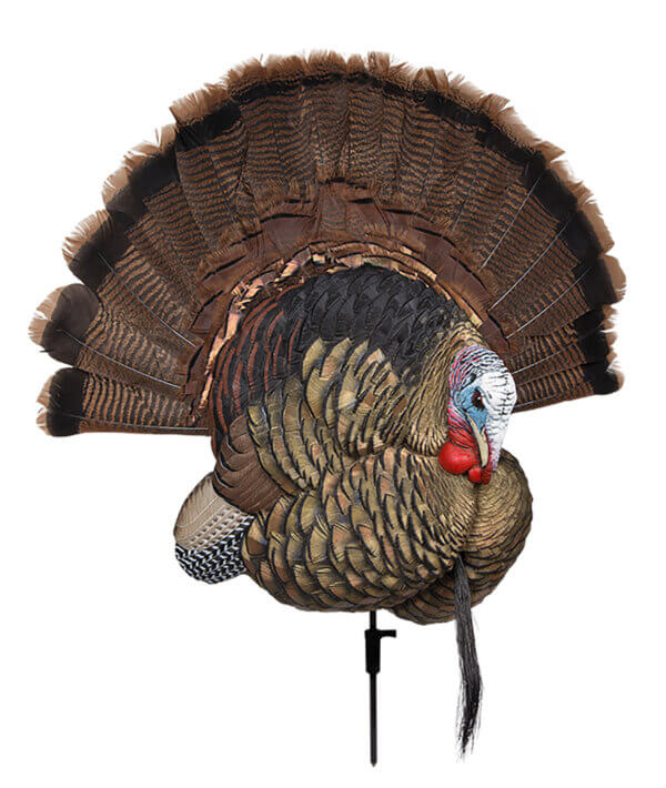 Avian X AVXAVX8021 Trophy Tom Turkey Species Multi-Color *No Fan Avian X AVXAVX8021 Trophy Tom Turkey Species Multi-Color *No Fan