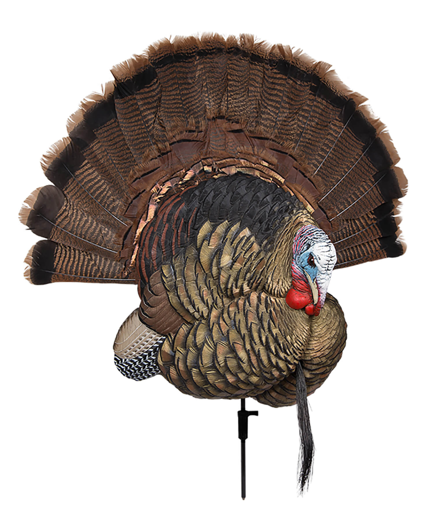 Avian X AVXAVX8021 Trophy Tom Turkey Species Multi-Color *No Fan Avian X AVXAVX8021 Trophy Tom Turkey Species Multi-Color *No Fan