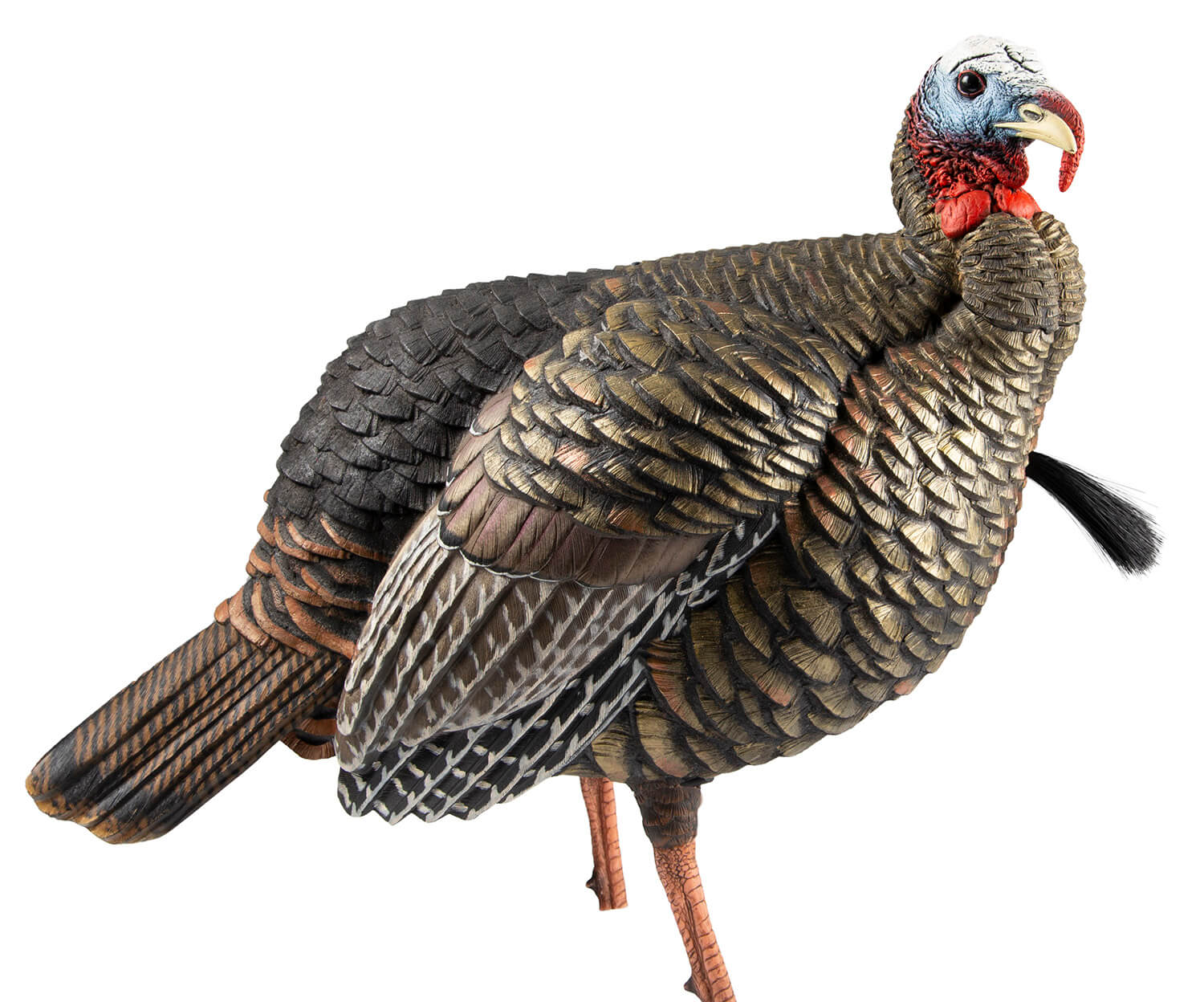 Avian X AVXAVX8105 HDR Jake Turkey Decoy Multi Color Avian X AVXAVX8105 HDR Jake Turkey Decoy Multi Color