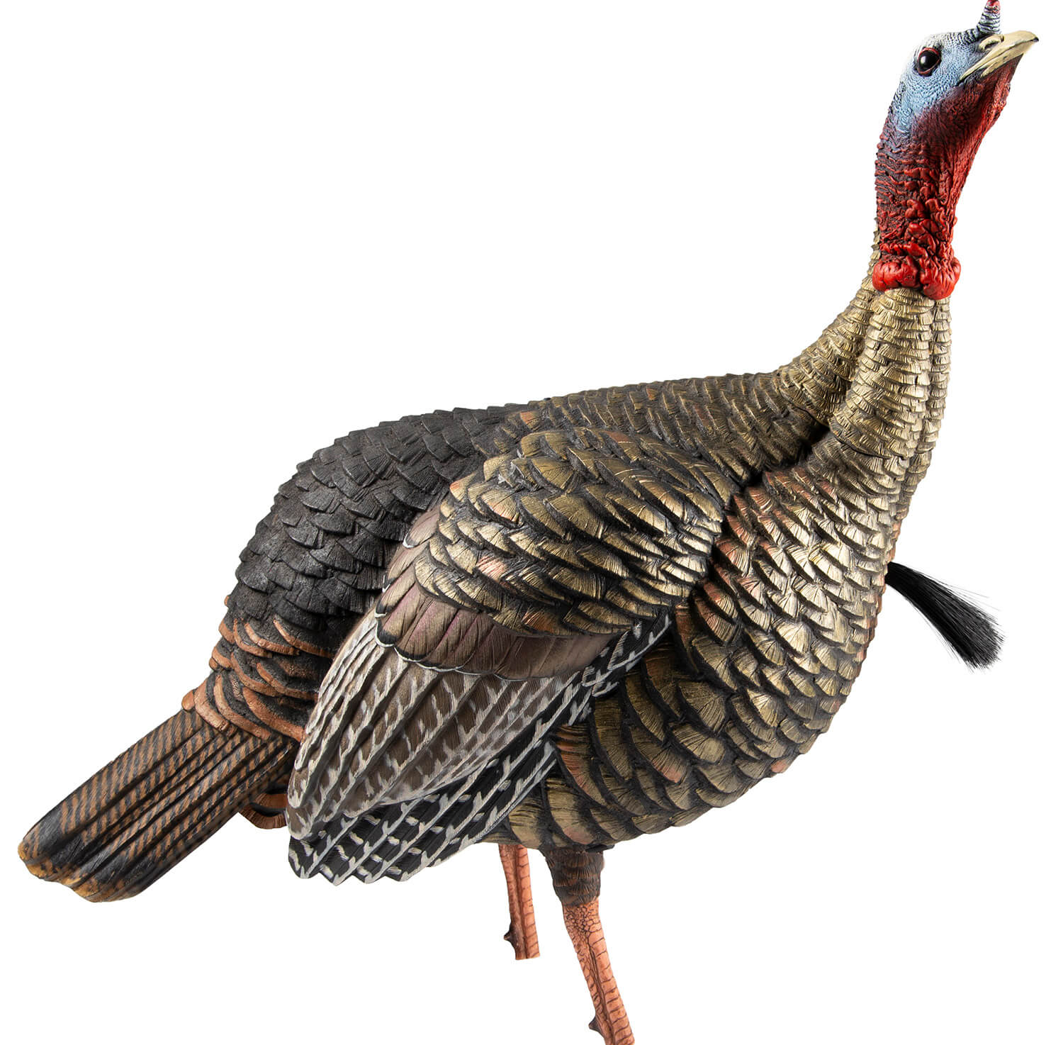 Avian X AVXAVX8105 HDR Jake Turkey Decoy Multi Color Avian X AVXAVX8105 HDR Jake Turkey Decoy Multi Color