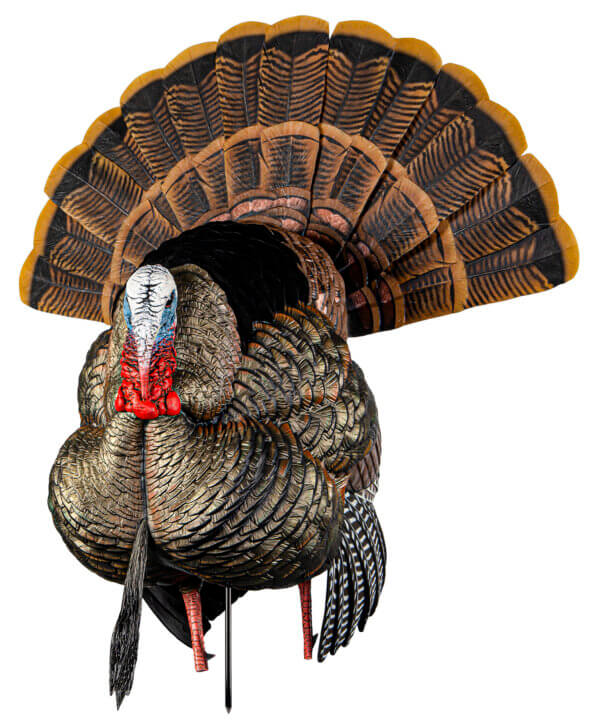 Avian X AVXAVX8108 HDR Strutter Turkey Species Multi Color Avian X AVXAVX8108 HDR Strutter Turkey Species Multi Color