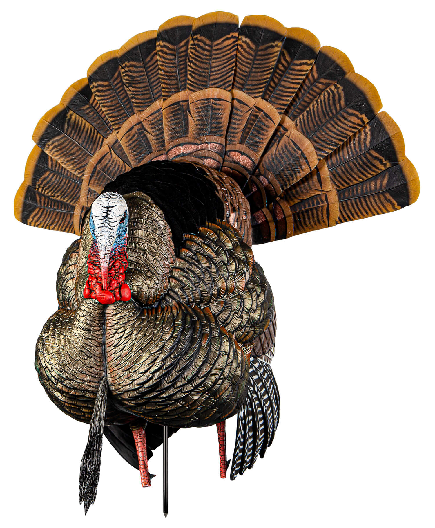 Avian X AVXAVX8108 HDR Strutter Turkey Species Multi Color Avian X AVXAVX8108 HDR Strutter Turkey Species Multi Color