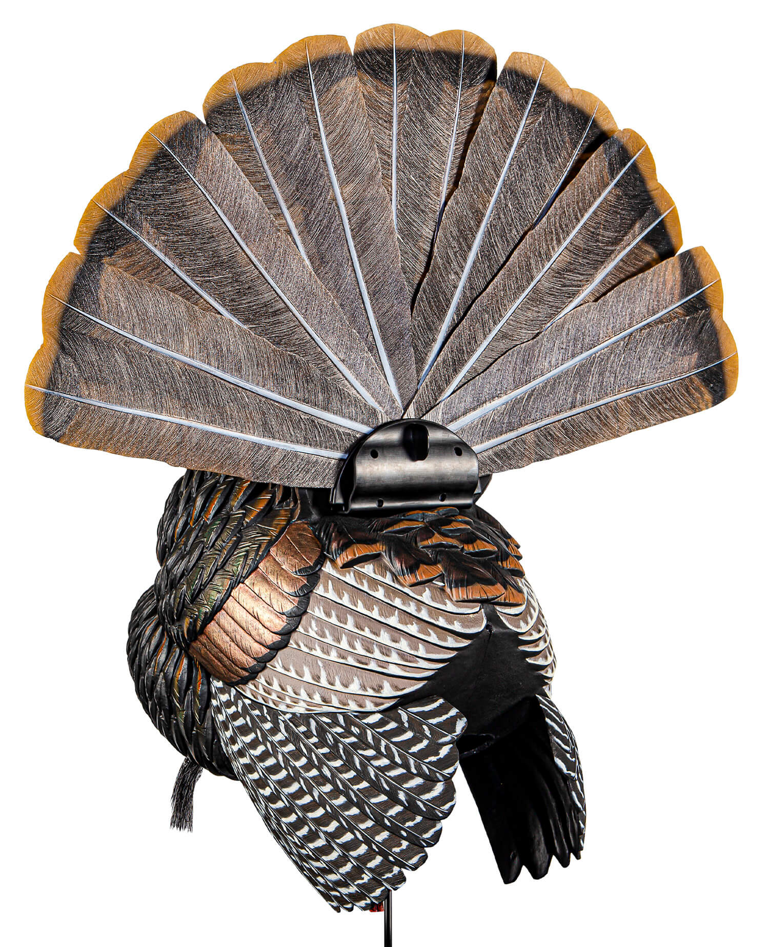 Avian X AVXAVX8108 HDR Strutter Turkey Species Multi Color Avian X AVXAVX8108 HDR Strutter Turkey Species Multi Color