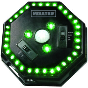 Moultrie MFA12651 Feeder Hog Light Black Green Filter 30 ft Range Moultrie MFA12651 Feeder Hog Light Black Green Filter 30 ft Range