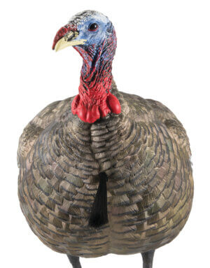 Avian X AVXAVX8003 LCD Quarter-Strut Jake Turkey Species Multi Color Dura-Rubber Avian X AVXAVX8003 LCD Quarter-Strut Jake Turkey Species Multi Color Dura-Rubber