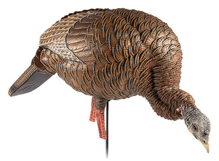 Avian X AVXAVX8107 HDR Feeder Hen Turkey Species Multi-Color Avian X AVXAVX8107 HDR Feeder Hen Turkey Species Multi-Color