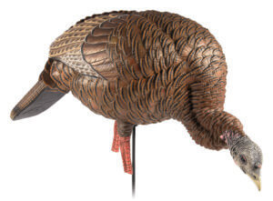 Avian X AVXAVX8107 HDR Feeder Hen Turkey Species Multi-Color Avian X AVXAVX8107 HDR Feeder Hen Turkey Species Multi-Color