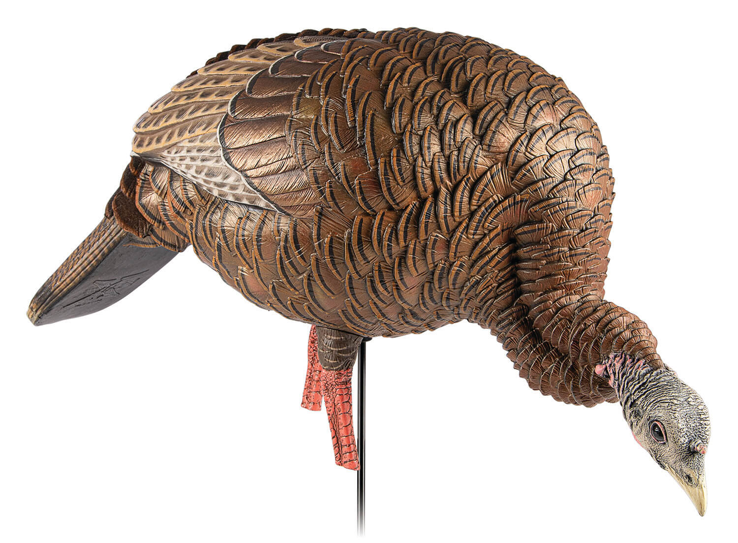 Avian X AVXAVX8107 HDR Feeder Hen Turkey Species Multi-Color Avian X AVXAVX8107 HDR Feeder Hen Turkey Species Multi-Color