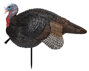 Primos 69074 Lil’ Gobstopper Jake Turkey Species Multi Color