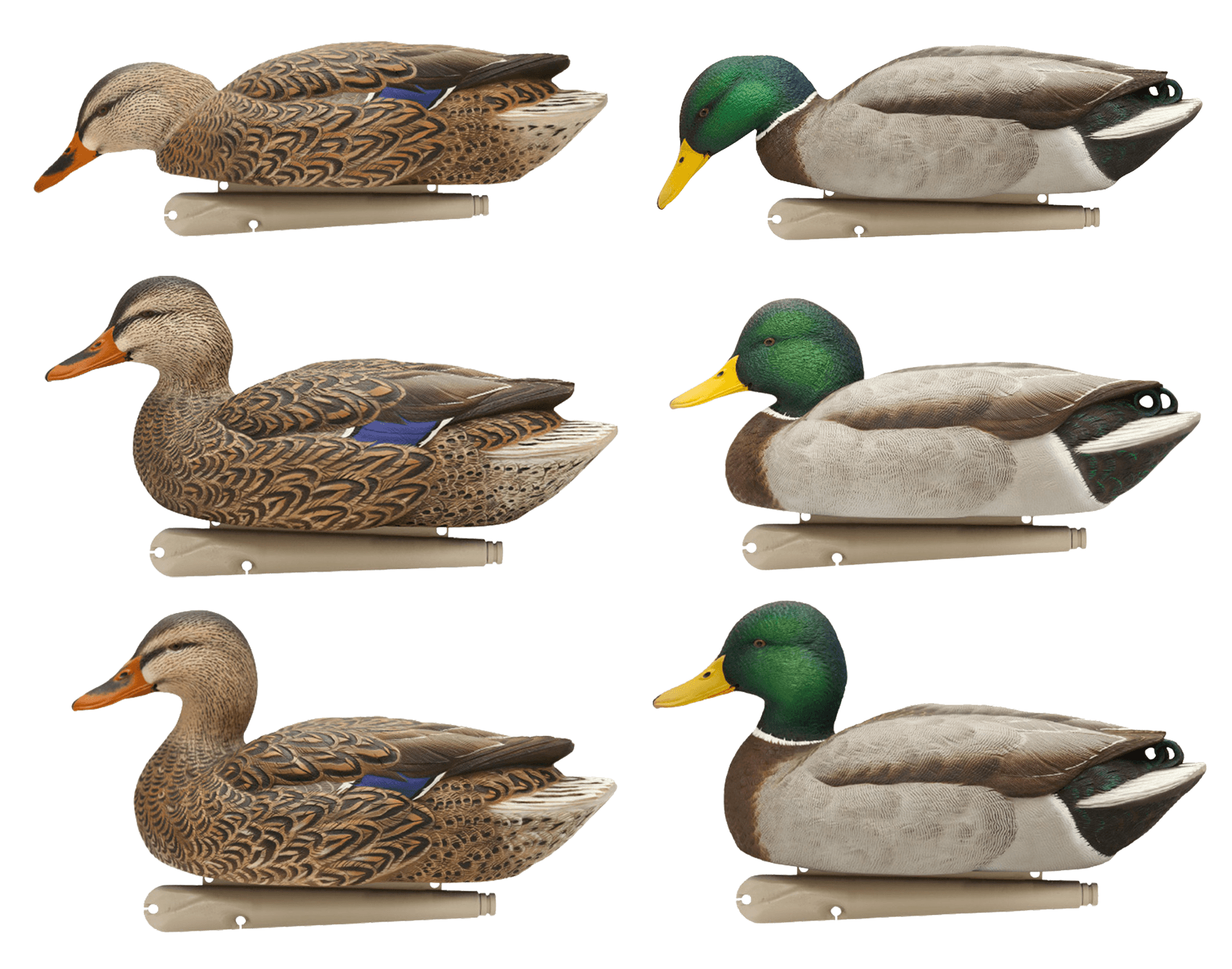 Avian X AVXAVX8076 Topflight Mallards Species Multi-Color Avian X AVXAVX8076 Topflight Mallards Species Multi-Color