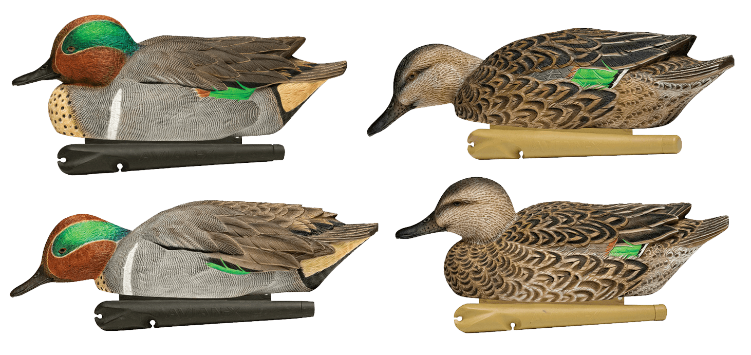 Avian X AVXAVX8081 Topflight Teal Species Multi-Color Avian X AVXAVX8081 Topflight Teal Species Multi-Color