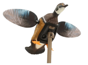 MOJO HW24723P ES WOODY MOJO HW24723P ES WOODY