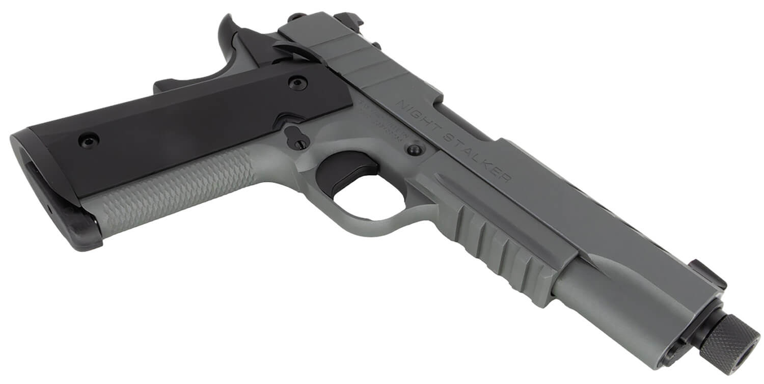 Tisas 10100558 1911 Night Stalker SF 10mm Auto 8+1, 5″ Black Steel Threaded Barrel, Platinum Gray Cerakote Serrated w/Slide Cuts Steel Slide & Steel Frame w/Beavertail & Picatinny Rail, Ambidextrous Tisas 10100558 1911 Night Stalker SF 10mm Auto 8+1, 5″ Black Steel Threaded Barrel, Platinum Gray Cerakote Serrated w/Slide Cuts Steel Slide & Steel Frame w/Beavertail & Picatinny Rail, Ambidextrous