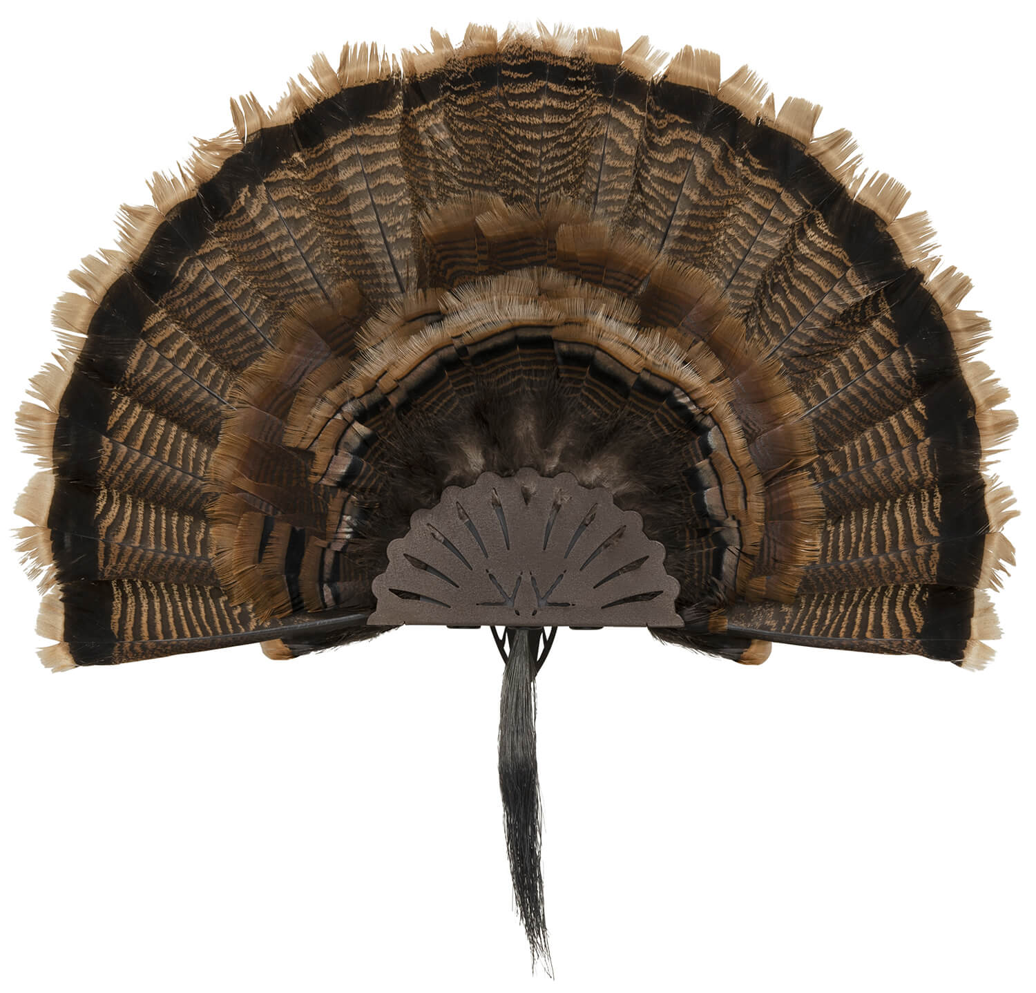Allen 7238 EZ Mount Turkey Fan Display Wall Mount Turkey Brown Steel Includes Mounting Hardware Allen 7238 EZ Mount Turkey Fan Display Wall Mount Turkey Brown Steel Includes Mounting Hardware