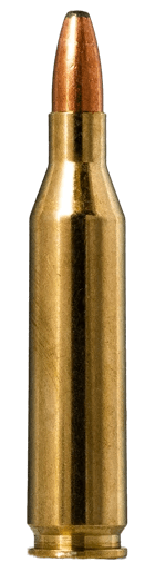 Norma Ammunition 20160332 Oryx 243 Win 100 gr 20rd Box Norma Ammunition 20160332 Oryx 243 Win 100 gr 20rd Box