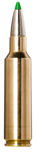 Norma Ammunition 20177512 Ecostrike 300 WSM 165 gr 20rd Box Norma Ammunition 20177512 Ecostrike 300 WSM 165 gr 20rd Box