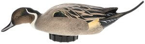 Avian X AVXPSHPNSF Pintail Species Multi-Color Avian X AVXPSHPNSF Pintail Species Multi-Color