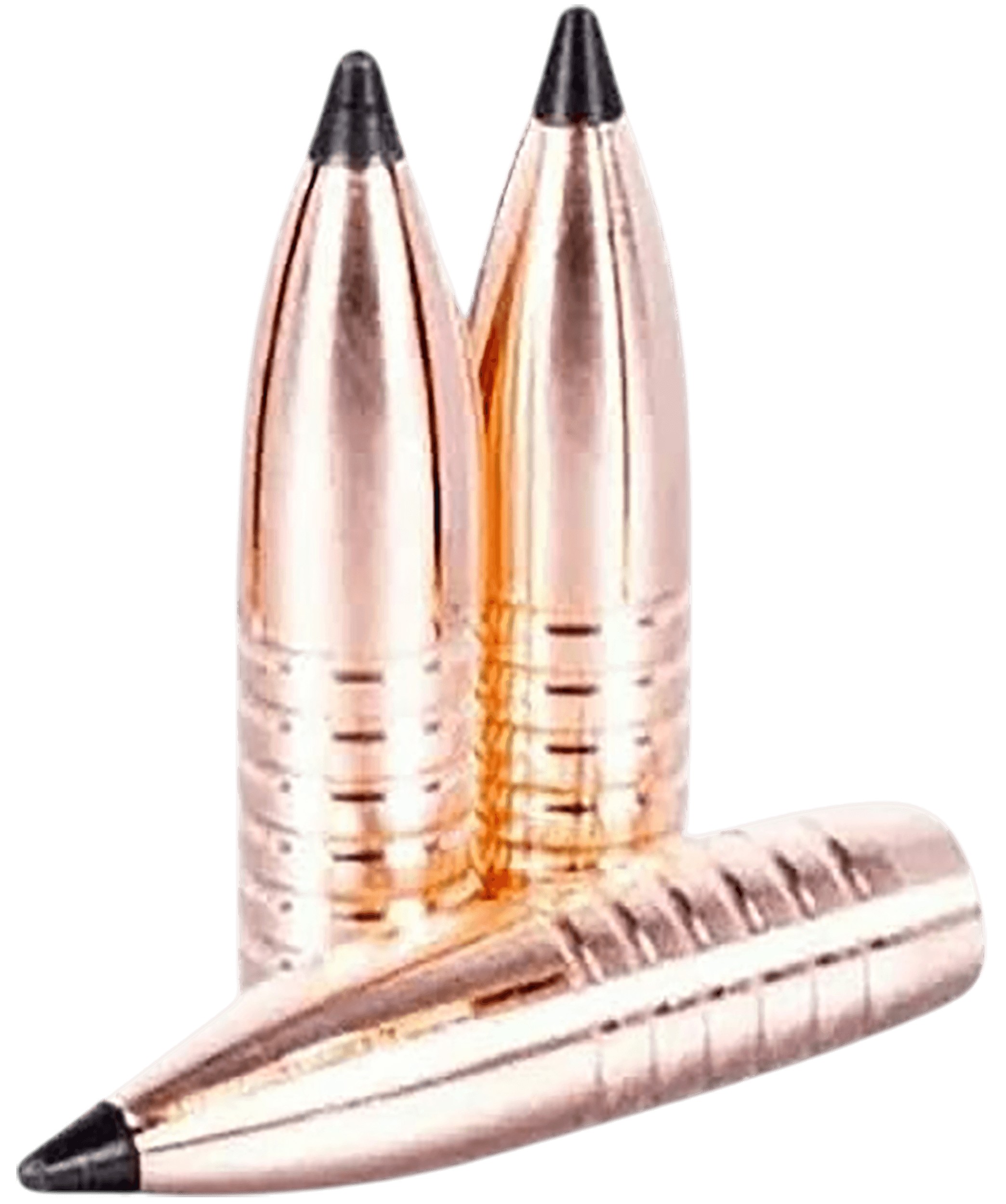Wilson Combat 18308155TXC 308Win Tipped Extreme Chaos 50 Per Box/10 Case Wilson Combat 18308155TXC 308Win Tipped Extreme Chaos 50 Per Box/10 Case
