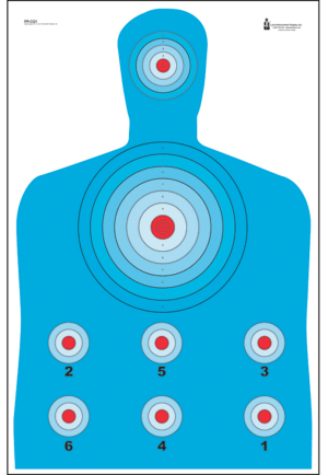 Action Target PRCQ1100 Qualification High Visibility Fluorescent Silhouette Paper 23" x 35" Blue/Red 100rd Box