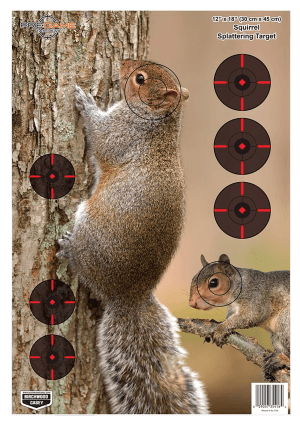 Birchwood Casey 35406 Pregame Squirrel Paper Hanging Rifle 12" x 18" Impact Enhancement 8 Per Pkg