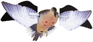 Avian X AVXDP102 PowerFlight  Doves Species Multi-Color