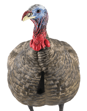 Avian X AVXAVX8003 LCD Quarter-Strut Jake Turkey Species Multi Color Dura-Rubber