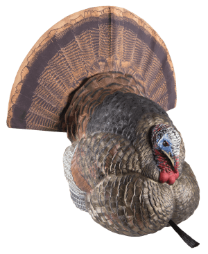 Avian X AVXAVX8004 LCD Strutter Turkey Species Multi Color Dura-Rubber