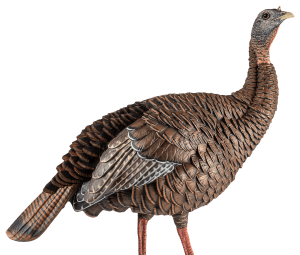 Avian X AVXAVX8106 HDR Hen Turkey Species Multi Color