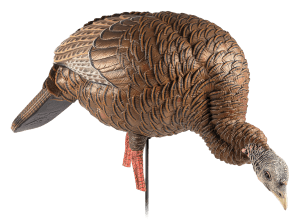 Avian X AVXAVX8107 HDR Feeder Hen Turkey Species Multi-Color Avian X AVXAVX8107 HDR Feeder Hen Turkey Species Multi-Color