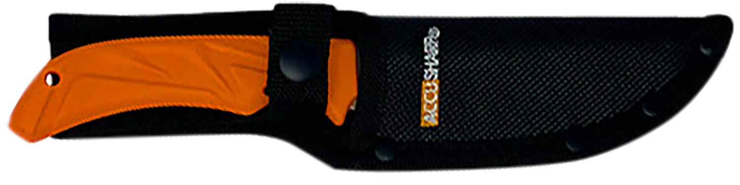 AccuSharp 731C Caping Fixed Caping 3.50" Stainless Steel Blade/Blaze Orange Ergonomic Anti-Slip Handle - Image 3