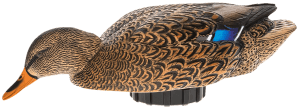 Avian X AVXPSHMHSF   Mallard Hen Species Multi-Color
