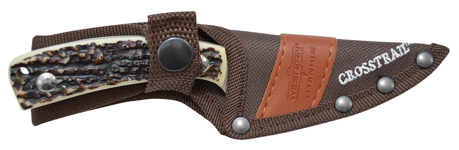 Camillus 19161 Western Crosstrail 3.25" Fixed Plain Silver 420 Steel Titanium Bonded Blade Stag/Antler Delrin Handle Includes Belt Loop/Sheath - Image 3