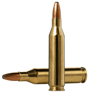 Norma Ammunition 20160332 Oryx 243Win 100gr Bonded Soft Point 20 Per Box/ 10 Cs