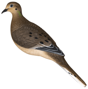 Avian X AVX-DOVE-6PK Full Body Dove Multi-Color 6 Pack
