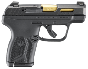 Ruger 13766 LCP Max Compact Frame 380 ACP 10+1 2.80" Black Nitride Barrel  Black Nitride Alloy Steel Serrated Slide  Black Polymer Frame Textured Grip